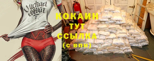 крисы Наволоки