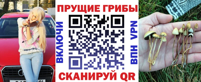 Купить закладки  Иркутск  Псилоцибиновые грибы ЛСД 